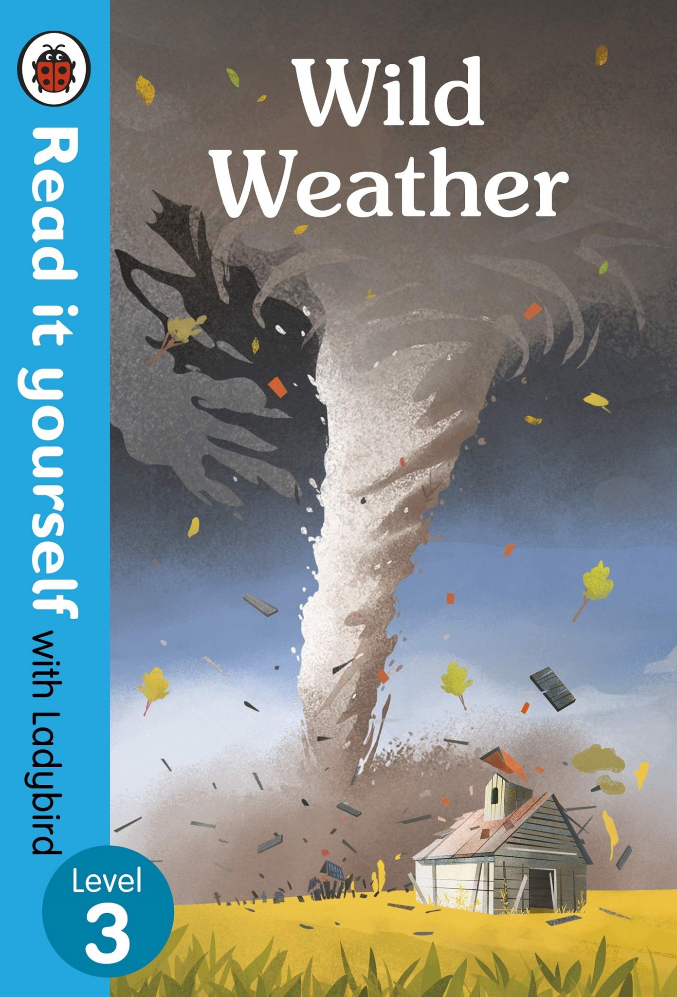 Picture of Wild Weather - Read it yourself with Ladybird Level 3